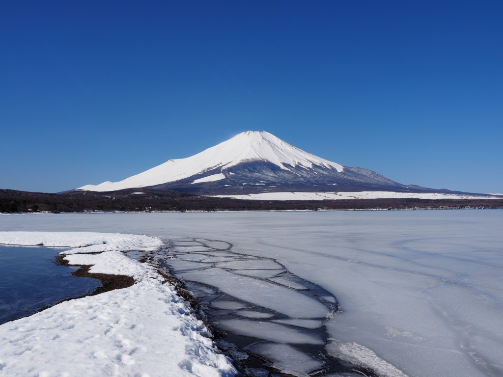 3/11 �������R���΂ƕx�m�R