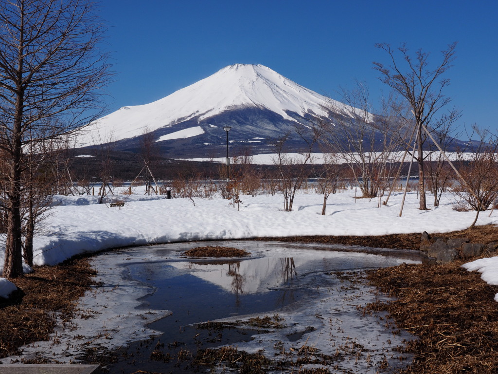 3/11 ����炩��̋t���x�m