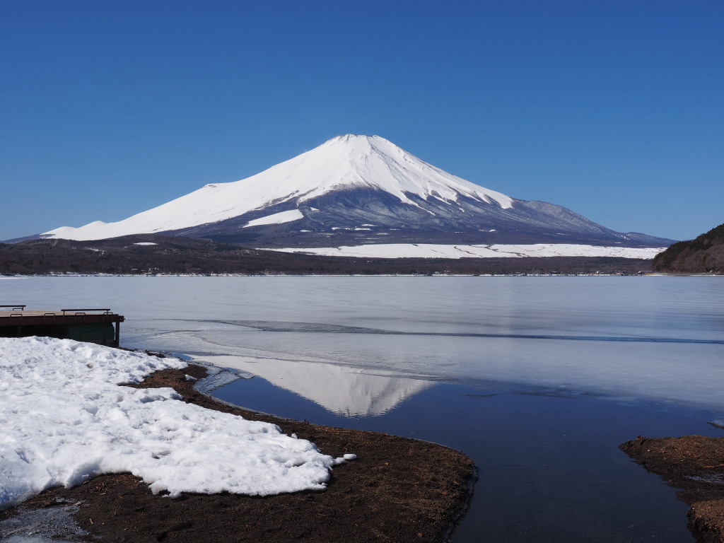 3/11 �t���x�m