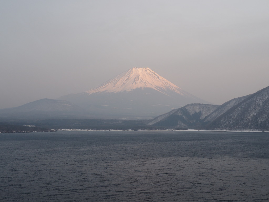 3/12 �[�Ă��̕x�m�R