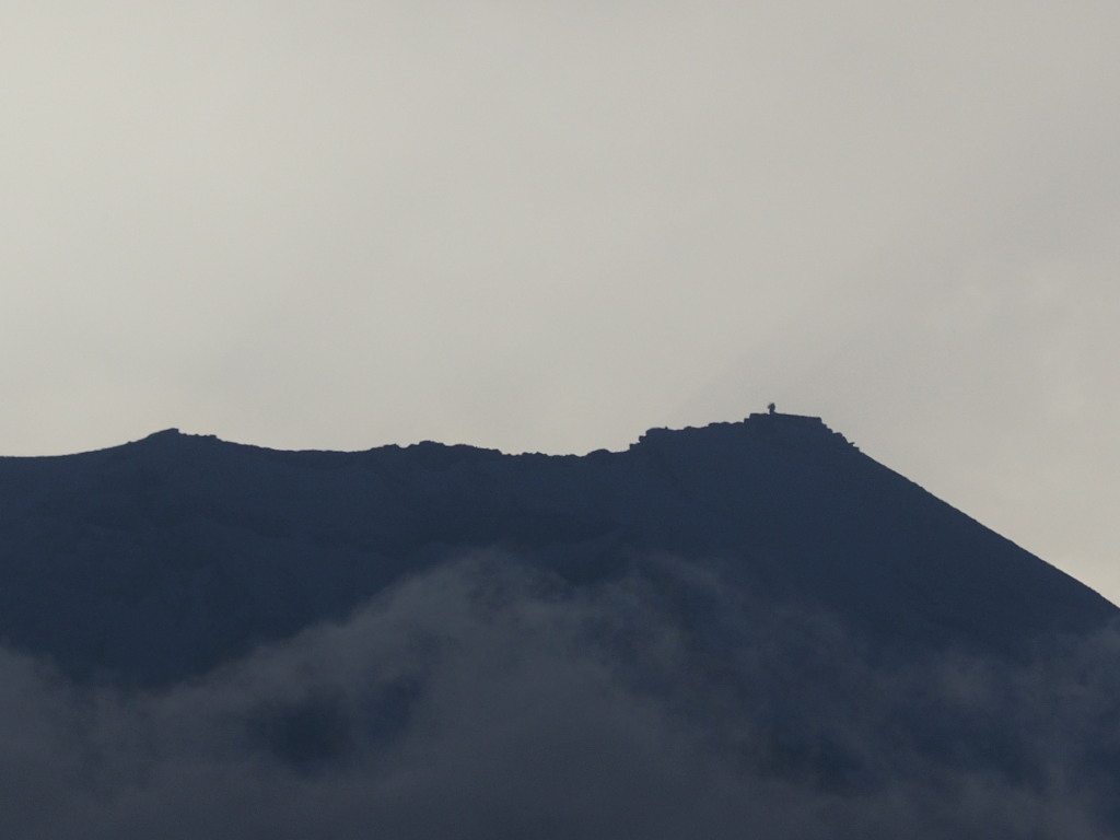 3/14 �x�m�R������̃A�b�v