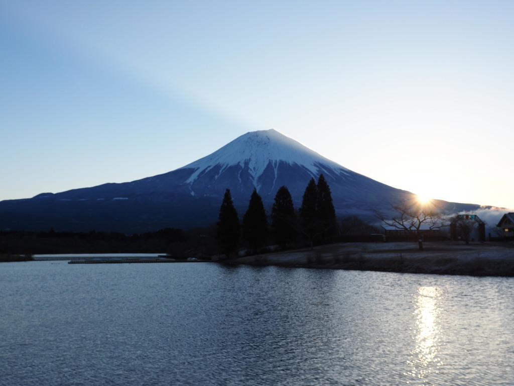 3/15 �c�ь΂���̓��̏o�̕x�m�R