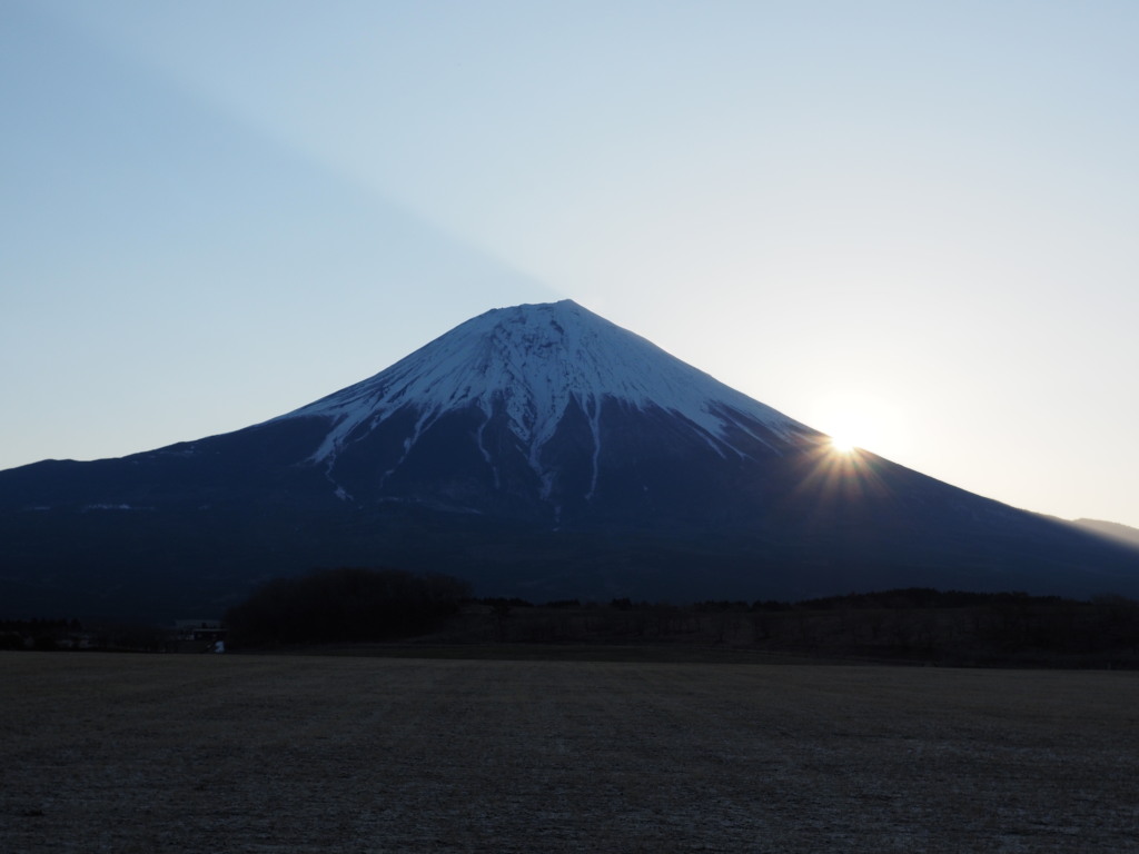 3/23 ��������̓��̏o