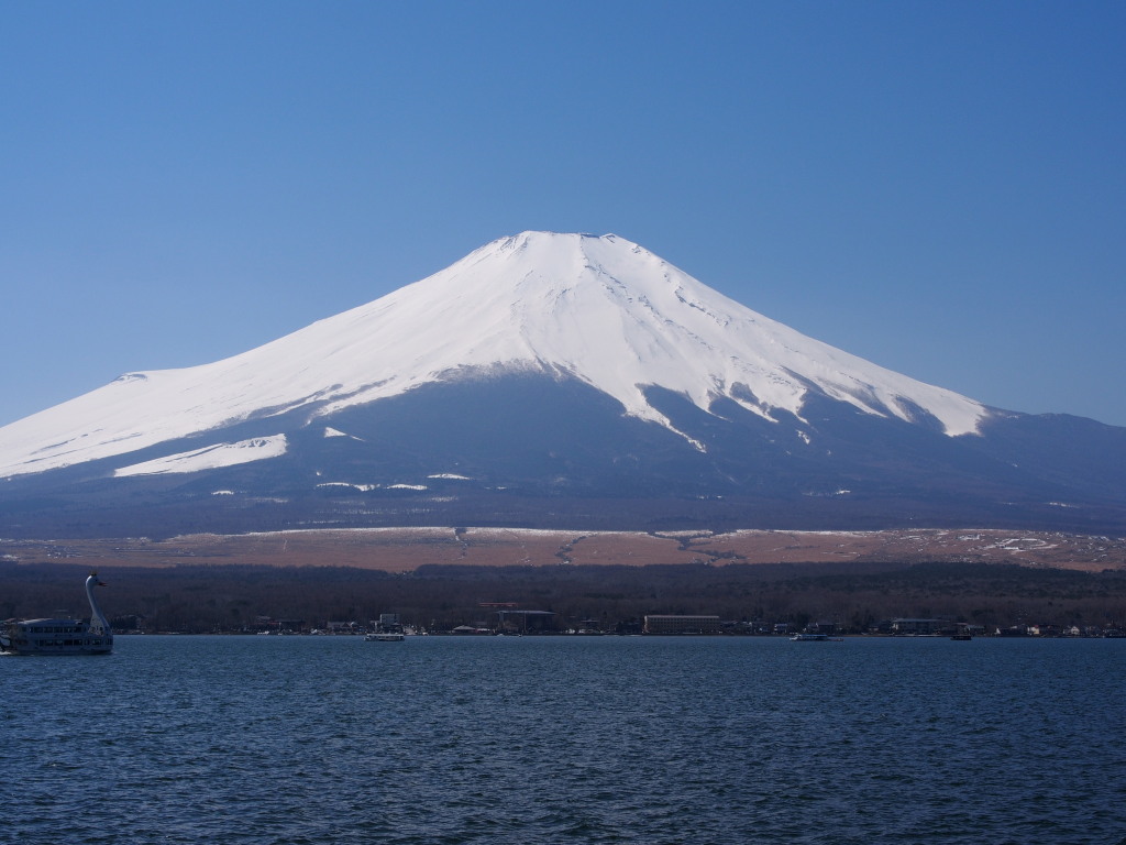 3/24 ���r����̕x�m�R