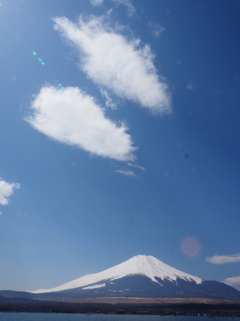 3/25 �_�ƕx�m�R