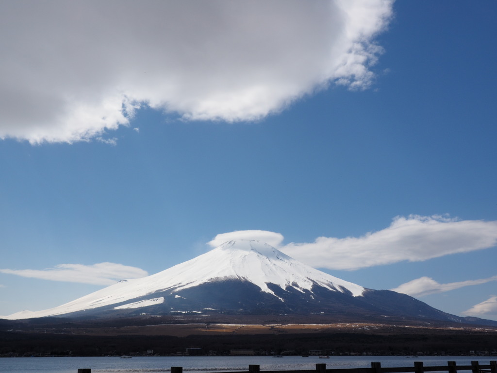 3/25 �P�_�̕x�m�R