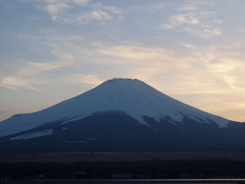 3/25 �[�Ă��̕x�m�R