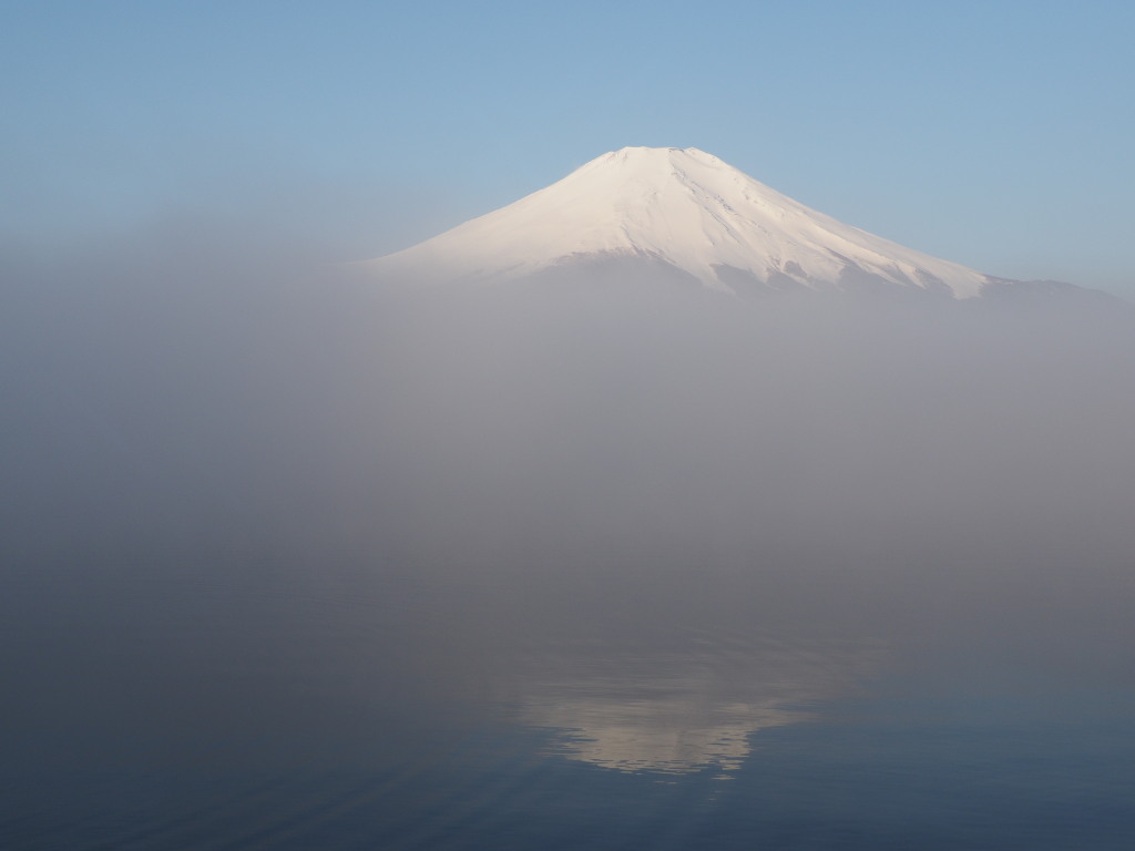 3/28 �Z���̕x�m�R