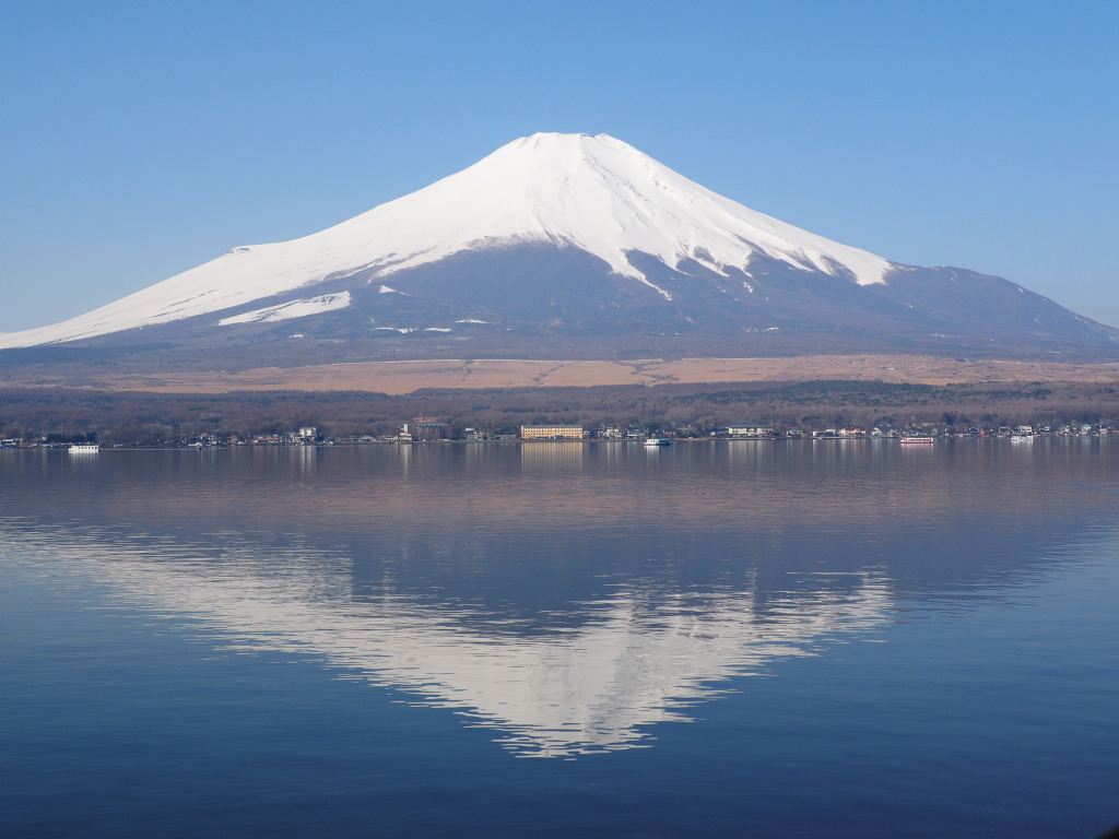 3/28 �t���x�m�R