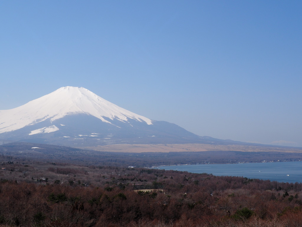 3/28 �p�m���}�䂩��̕x�m�R