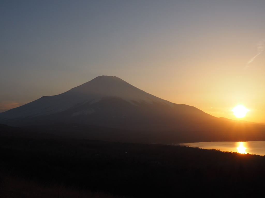 3/28 ���̓���̕x�m�R