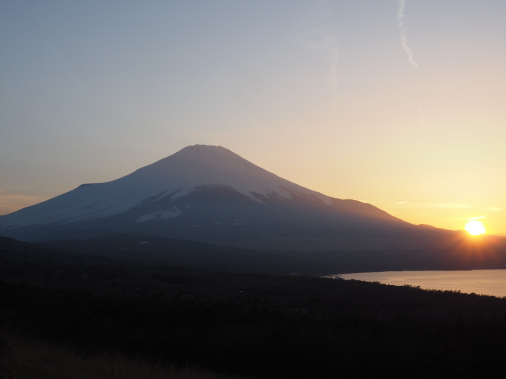 3/28 ���̓���̕x�m�R(2)