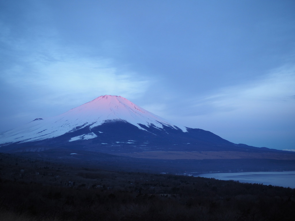 3/29 �ق�̂�g�x�m