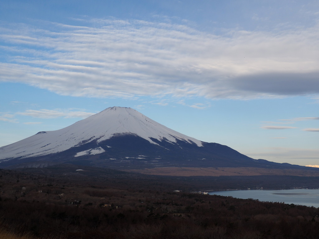 3/29 �_�ƕx�m�R