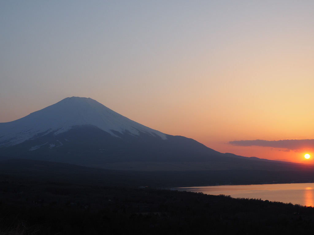 4/8 ���̓���̕x�m�R