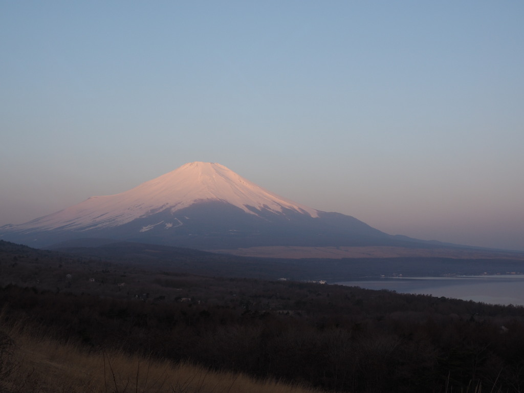 4/9�ق��g�x�m