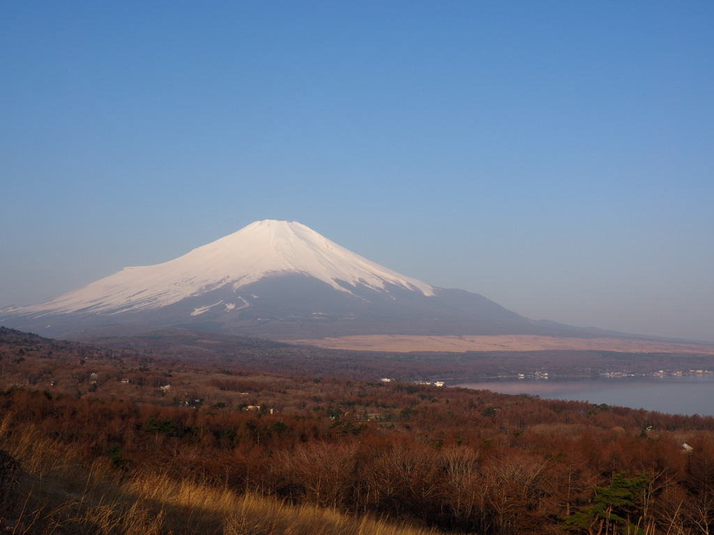 4/9 ���񂾕x�m�R