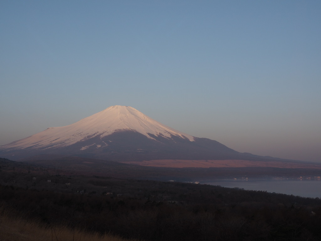 4/10 �Q�ڂ����x�m�R