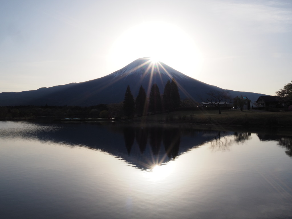 4/22 �_�C�������h�x�m���ǂ�