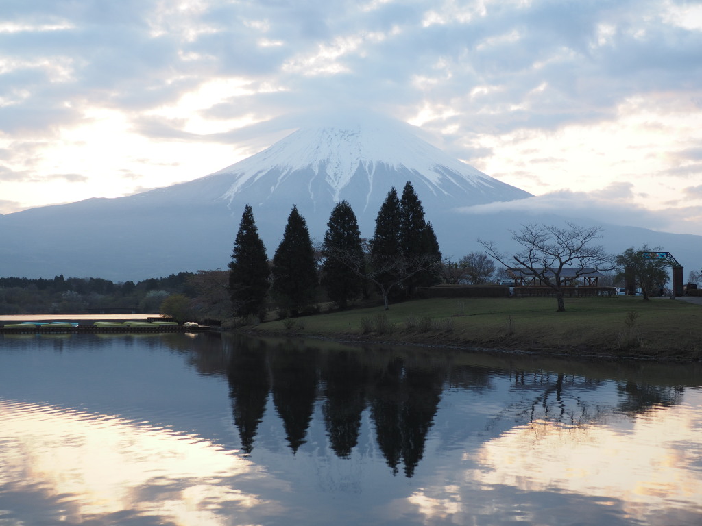 4/23 �_�̒��̒��Ă��̕x�m�R