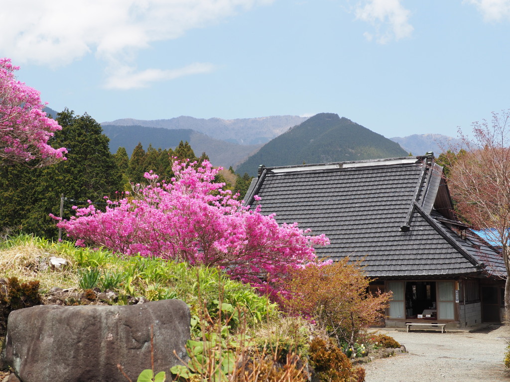 4/23 ���J�̃~�c�o�c�c�W