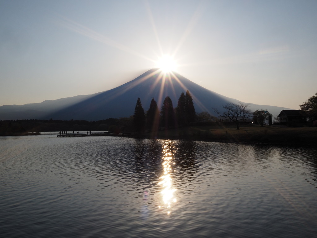 4/24 �����􂩂�̃_�C�������h�x�m