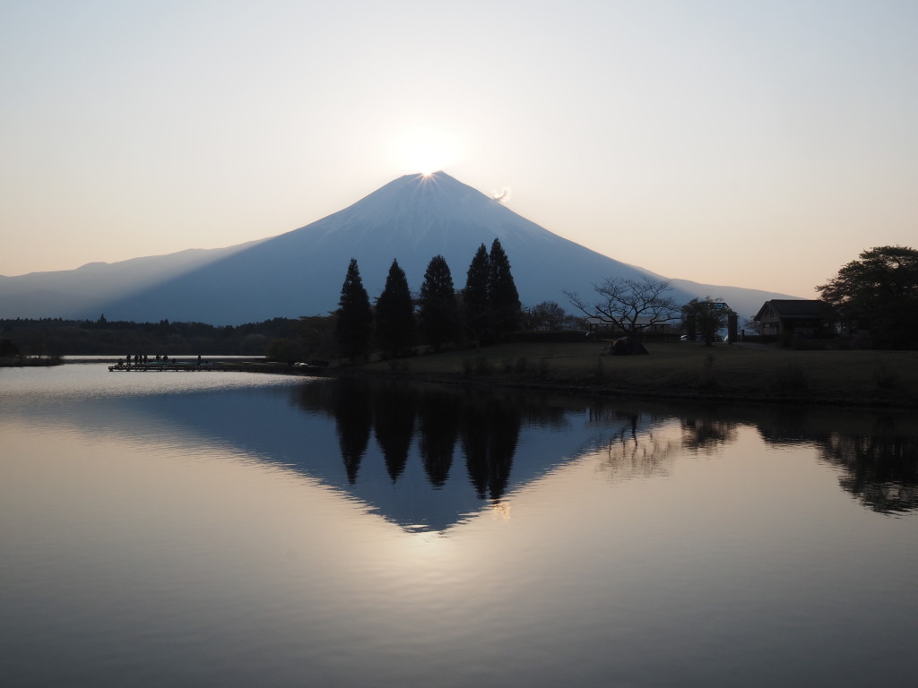 4/26 �ǐ^�񒆂̃_�C�������h�x�m