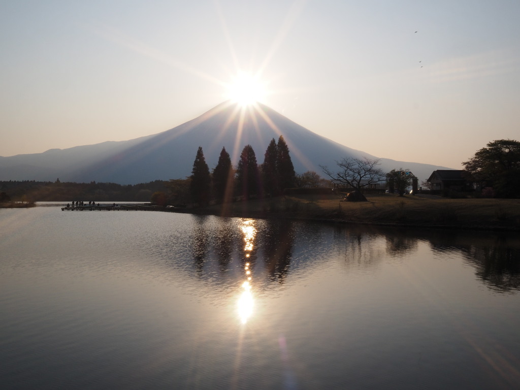 4/26 �ǐ^�񒆂̃_�C�������h�x�m(3)