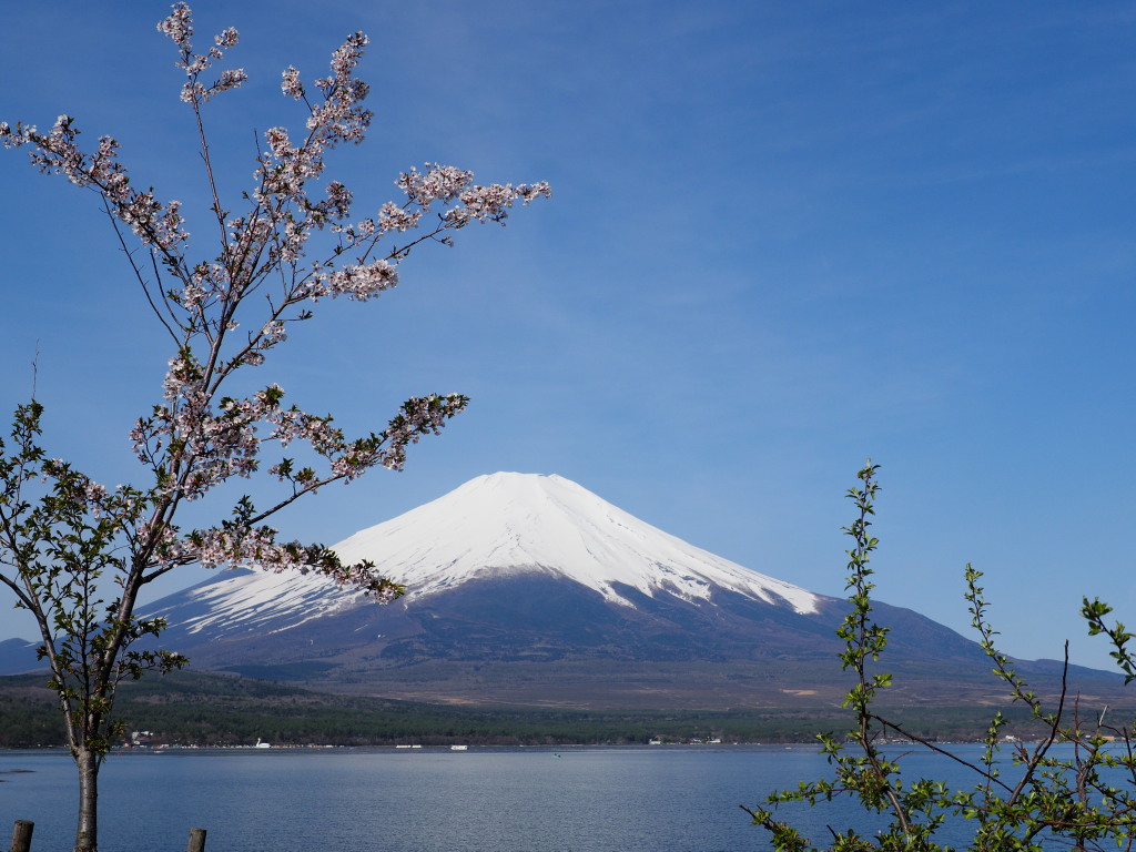 5/4 ���ƕx�m�R