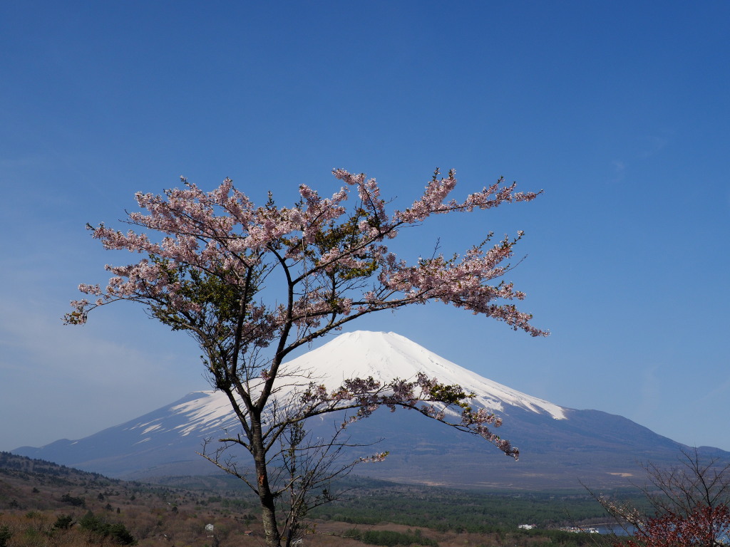 5/4 ���ƕx�m�R