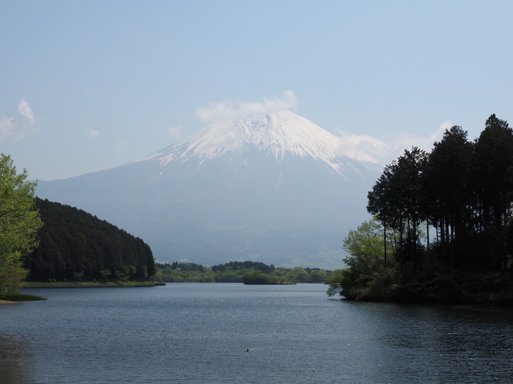 5/9 �x�ɑ�����̕x�m�R