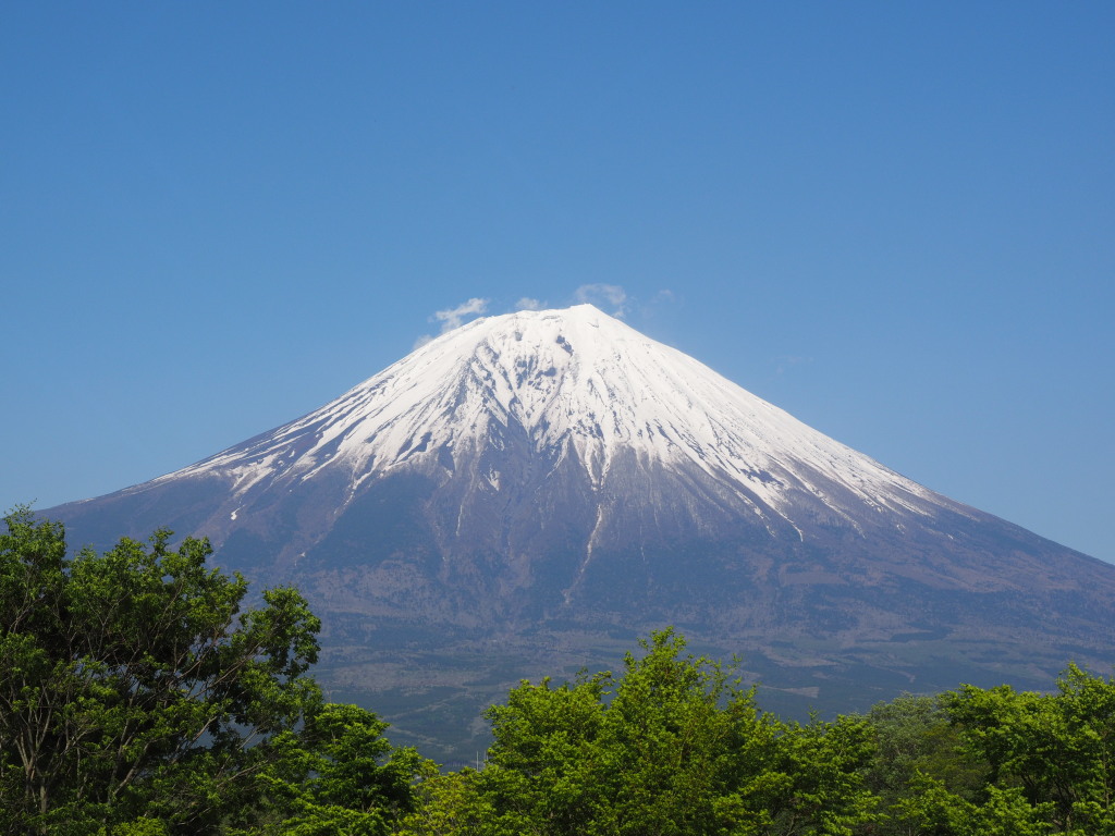 5/9 �X�b�L���x�m�R