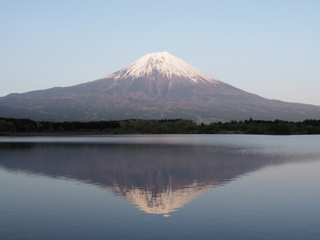 5/9 �[�Ă��̋t���x�m