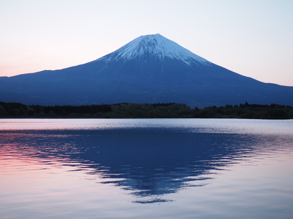 5/10 �ق�̂�F�������x�m�R