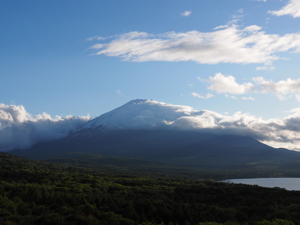 5/21 �_�ƕx�m�R