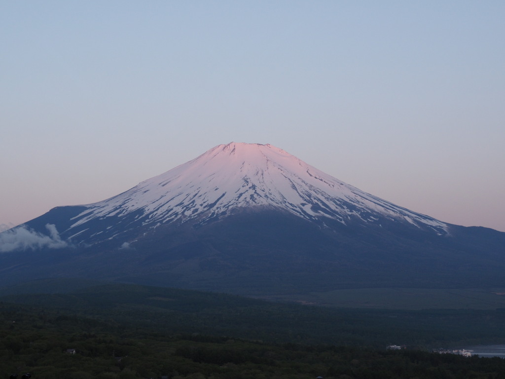 5/22 ���Ă��̕x�m�R