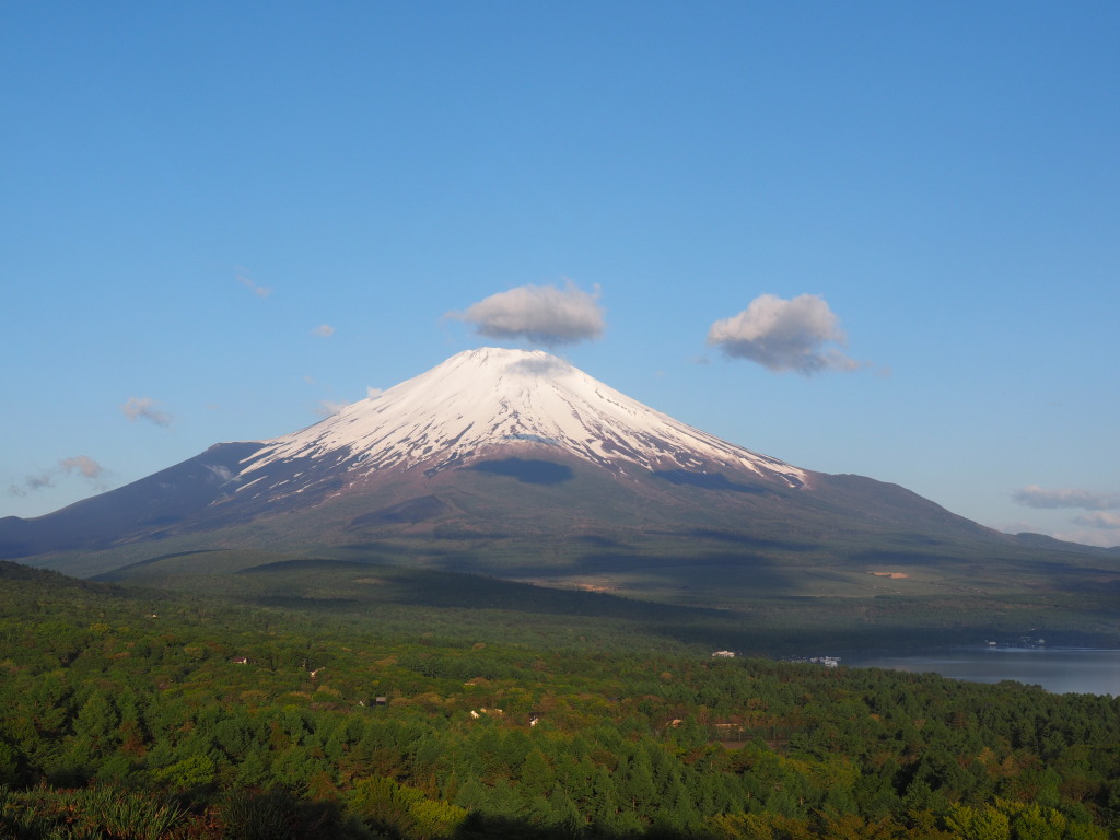 5/22 �P�_���ǂ��̕x�m�R