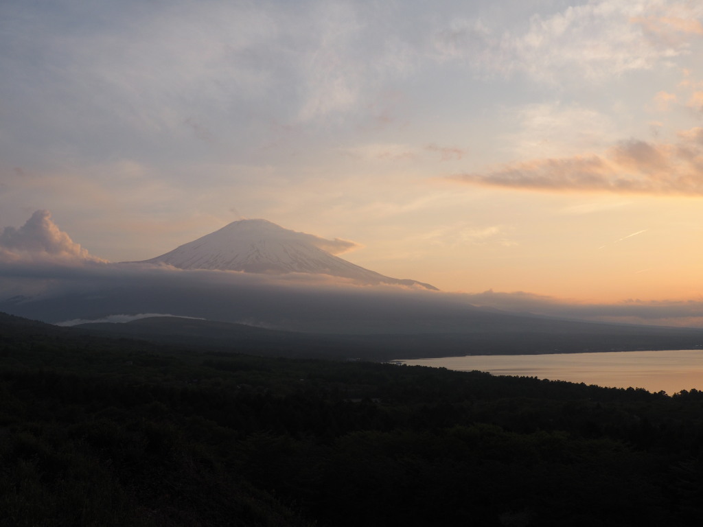 5/23 �[�Ă��̕x�m�R