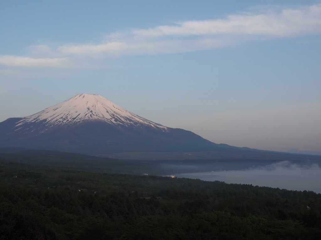 5/24 �_�C�ƕx�m�R