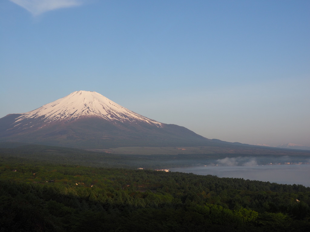 5/24 �_�C�������x�m�R