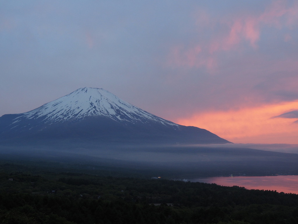 5/27 �[�Ă��̕x�m�R