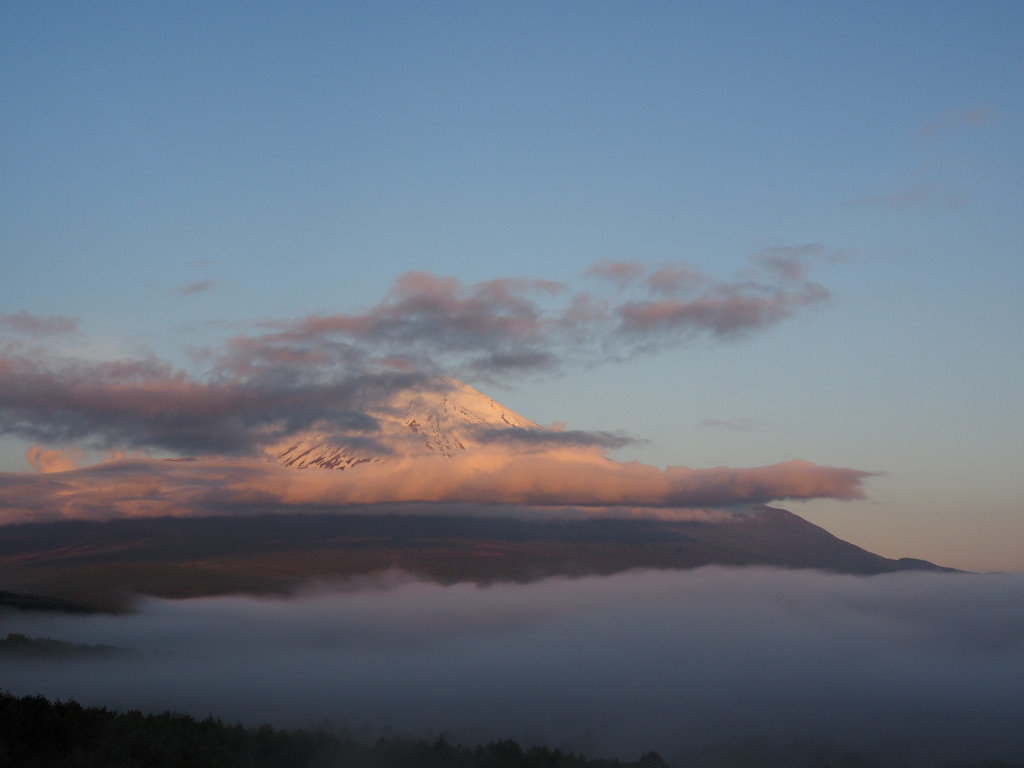 5/28 ���Ă��̕x�m�R