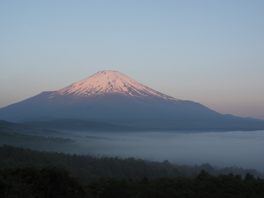 5/29 ���Ă��̕x�m�R