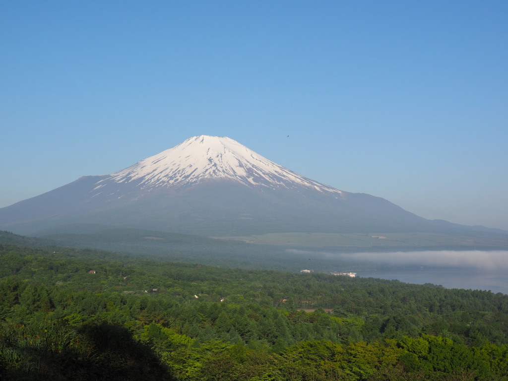 5/29 �s�[�J���̕x�m�R