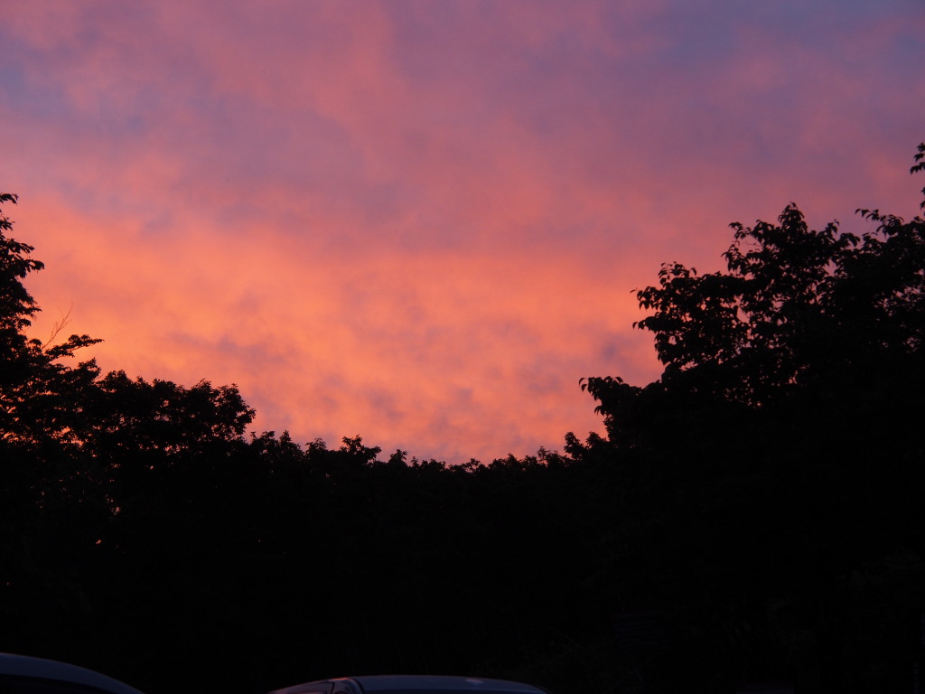 5/30 ���̋�͐^���Ԃ���