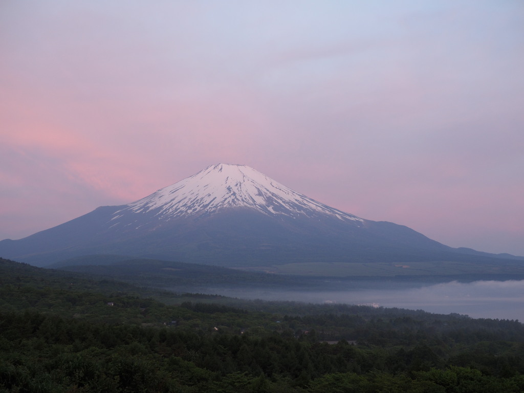 5/30 ���Ă��̕x�m�R