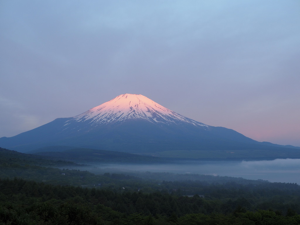 5/30 ���Ă��̕x�m�R(3)