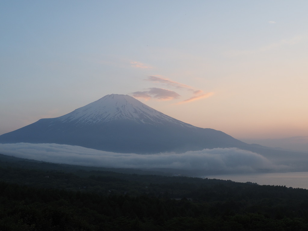 5/30 �[�Ă��̕x�m�R