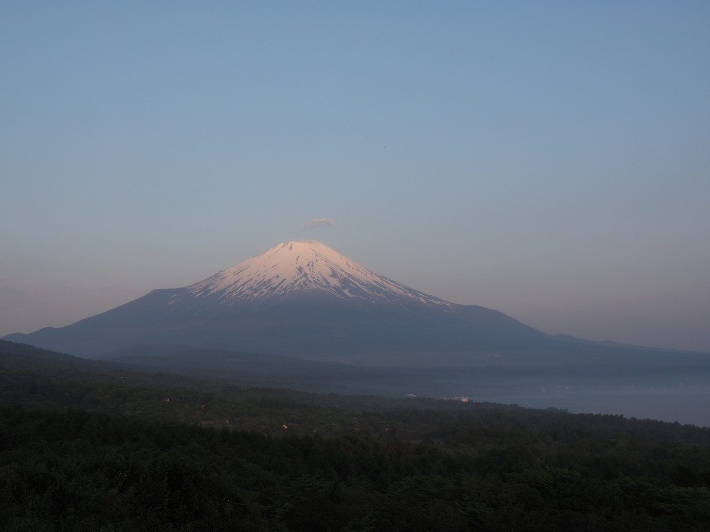 5/31 ���Ă��̕x�m�R