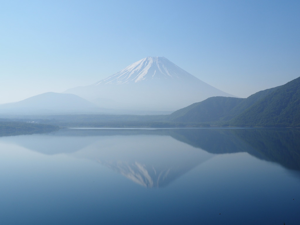 06/01 �t���x�m